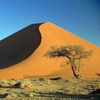 Finding parallels in life's journey with the Namib Desert's harsh yet fertile conditions sparks profound inspiration.