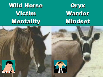 We learn from the Wild Horse and Oryx: embrace resilience, navigate challenges with grace, shape destiny, and thrive.